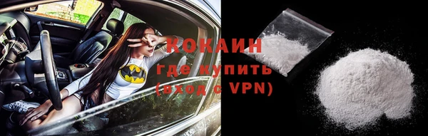 прущие грибы Кукмор