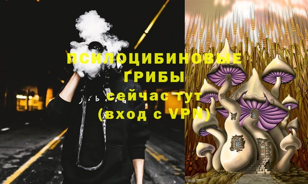 прущие грибы Кукмор
