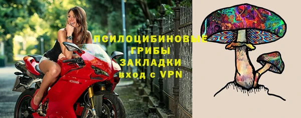 прущие грибы Кукмор