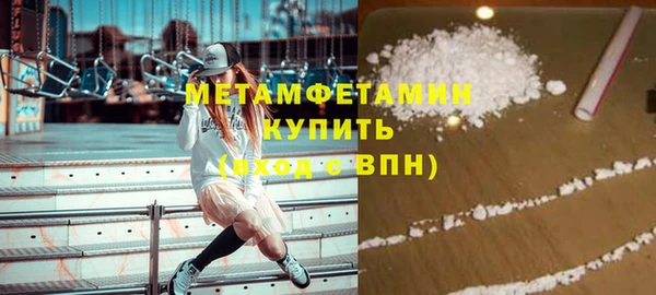 прущие грибы Кукмор
