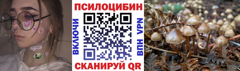 как найти наркотики  Елизаветинская  Псилоцибиновые грибы GOLDEN TEACHER 